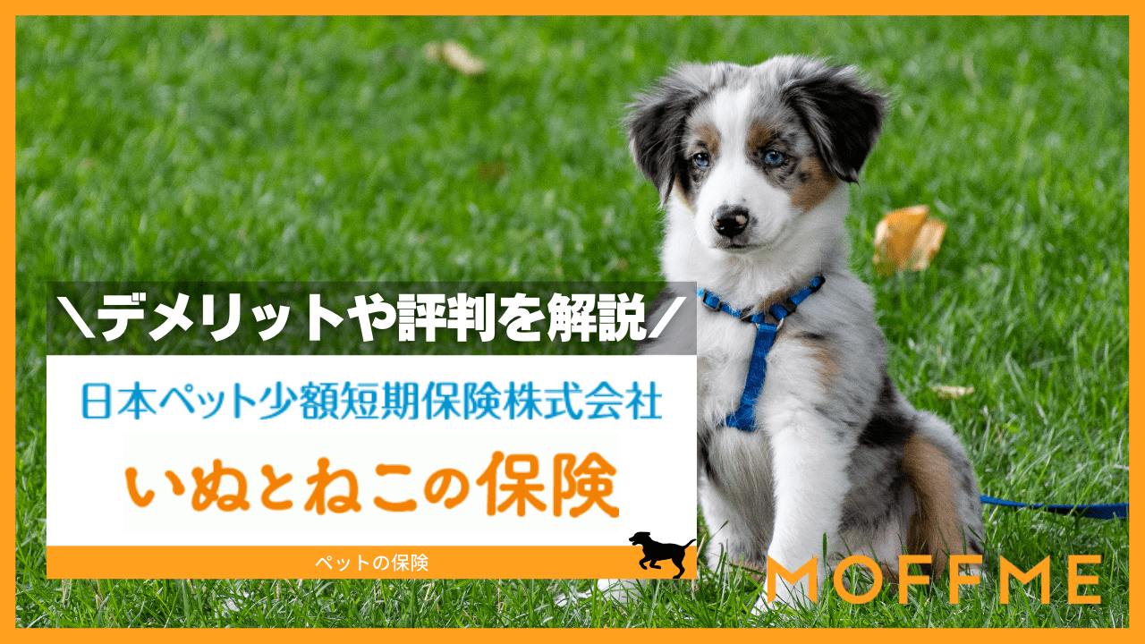 日本ペット少額短期保険の「いぬとねこの保険」の口コミ・評判、デメリットを解説のサムネイル画像